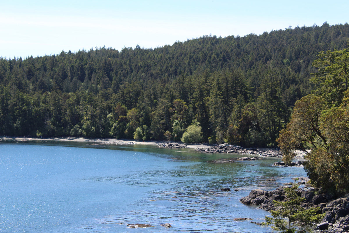 Lush green forest along a rocky shoreline with clear blue water in East Sooke, BC on Vancouver Island