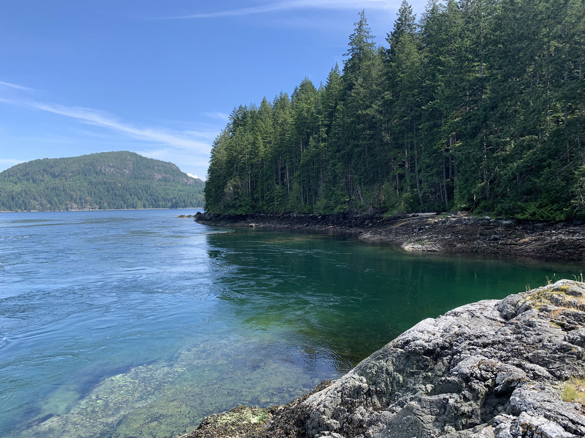 Scenic view of a forested island with clear blue water and rocky foreground in East Sooke, BC on Vancouver Island