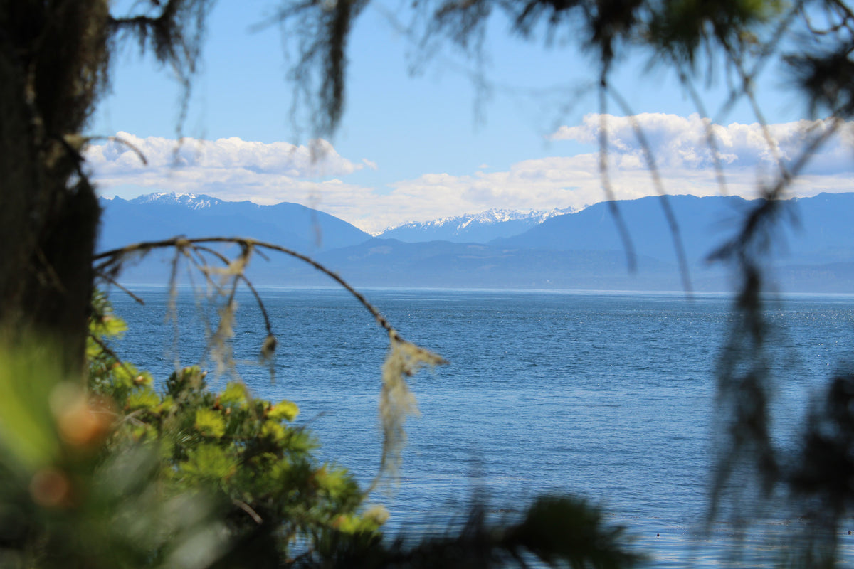 Scenic view of a lake with mountains in the background, framed by natural elements in East Sooke, BC on Vancouver Island